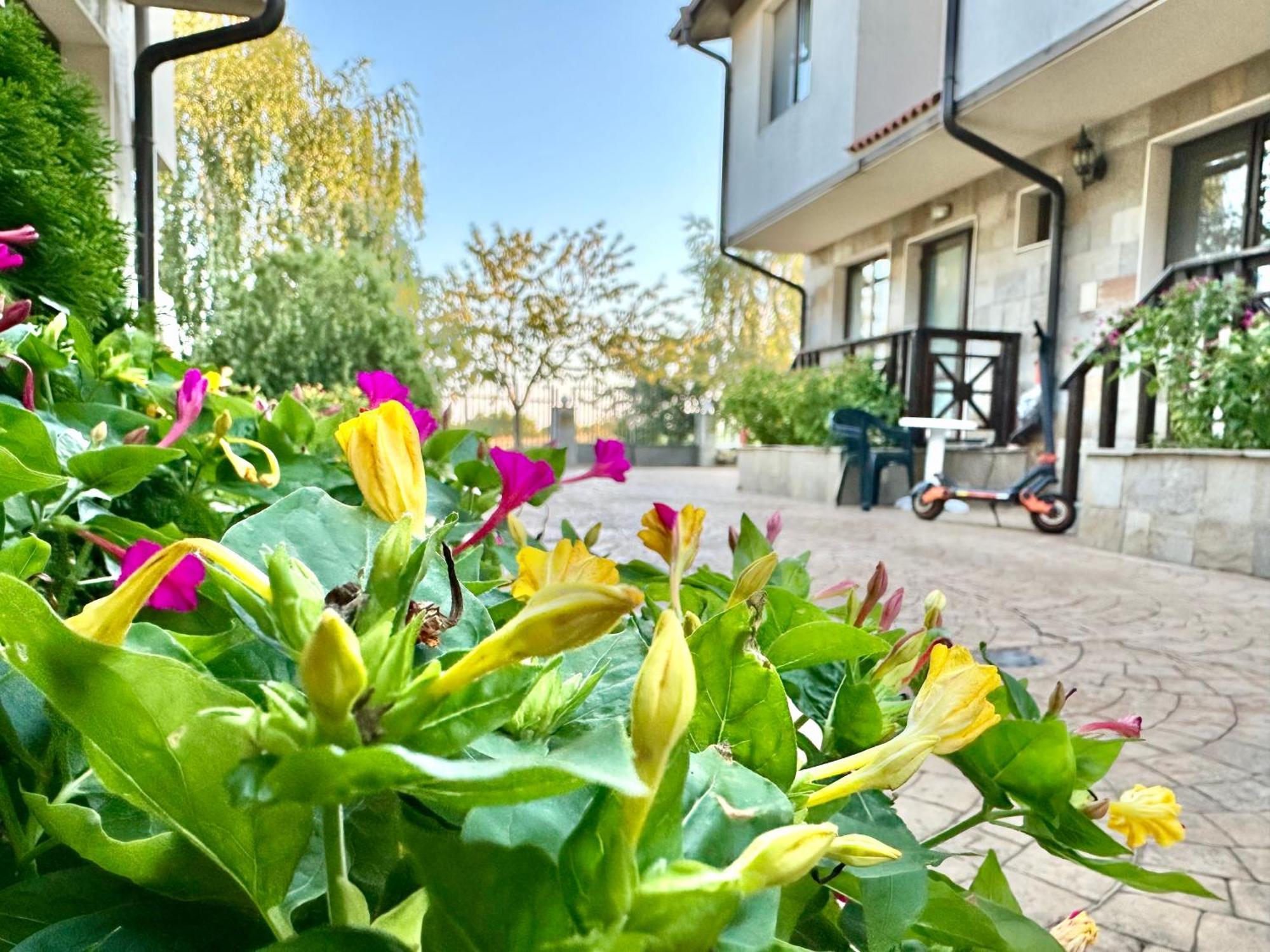 Menada Imperial Heights Villas 써니비치 외부 사진